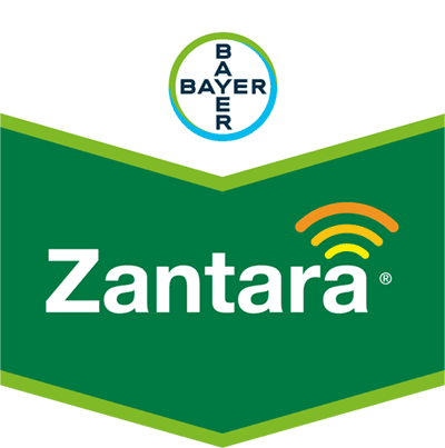 Zantara®