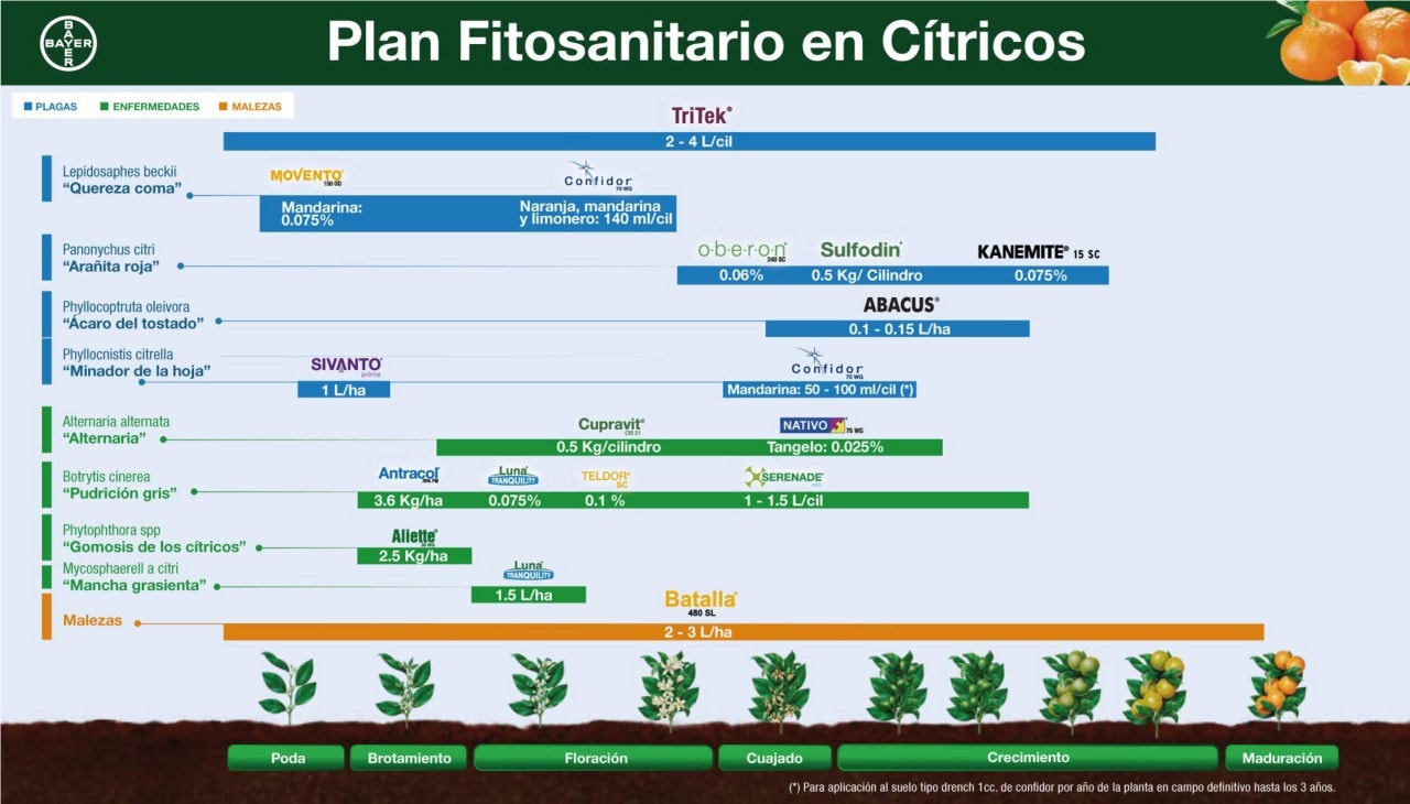 Fenología Arroz